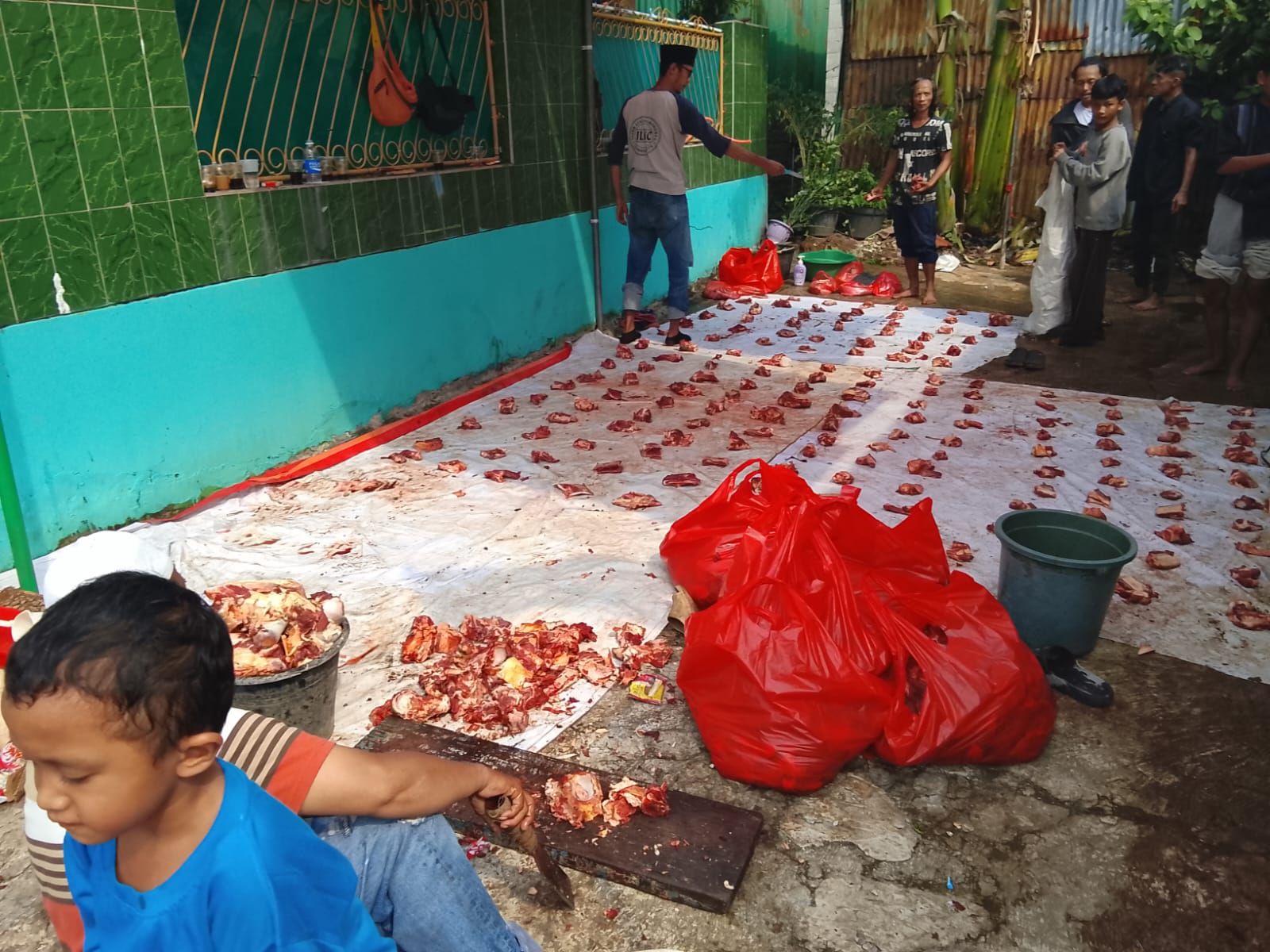 Pemotongan dan pengantongan dikerjakan bersama, dari remaja sampai orang tua.